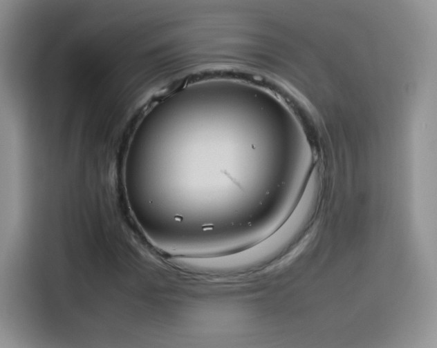X0000114110969200910131339
