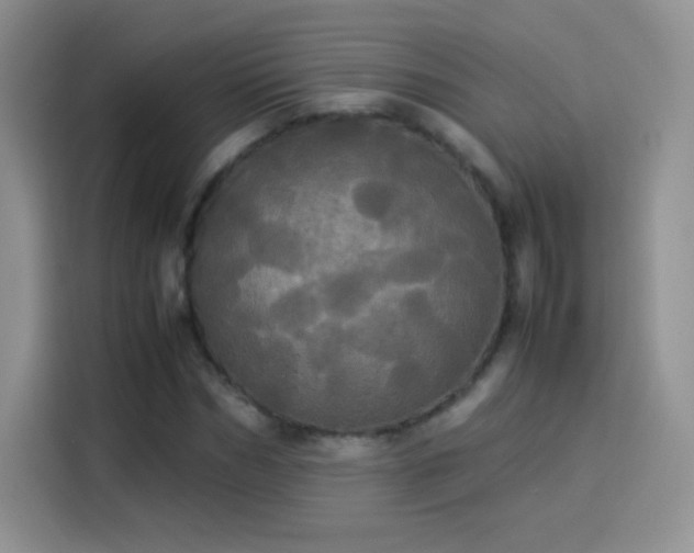 X0000114110970200910131339