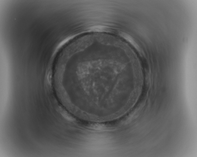 X0000114110971200910131339