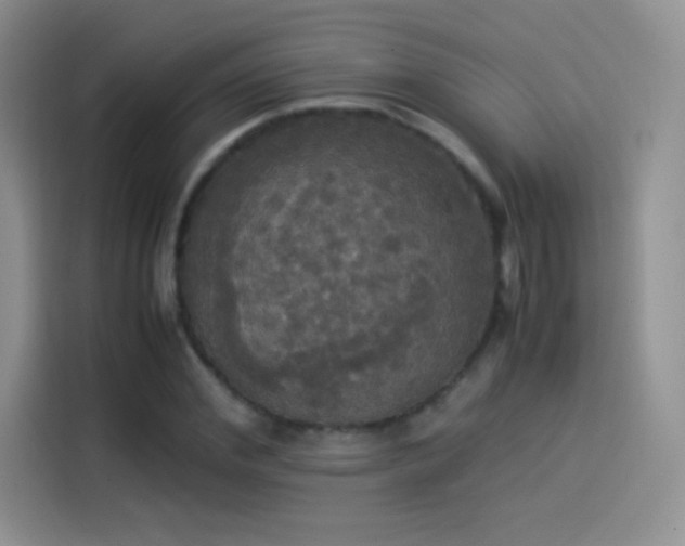 X0000114110972200910131339