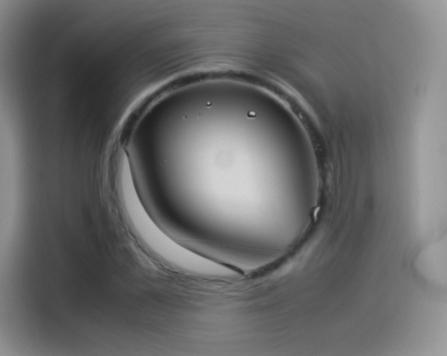X0000114110973200910131339