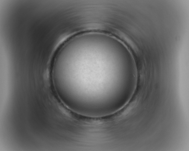 X0000114110975200910131339