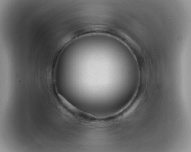 X0000114110977200910131339