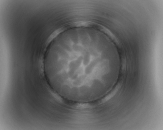 X0000114110978200910131339