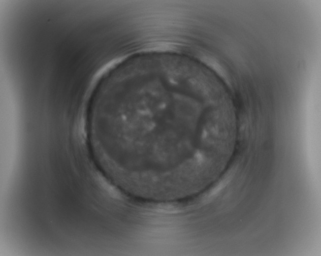 X0000114110979200910131339
