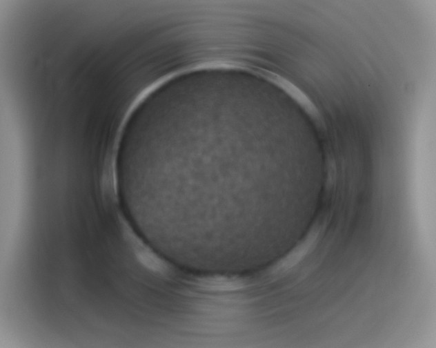 X0000114110980200910131339