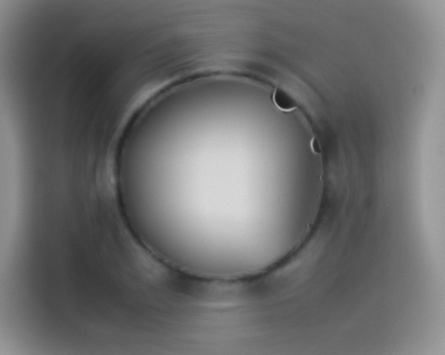 X0000114110981200910131339