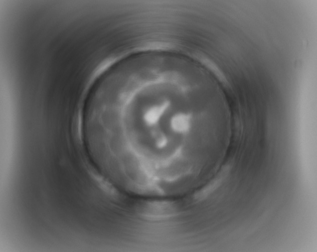 X0000114110982200910131339