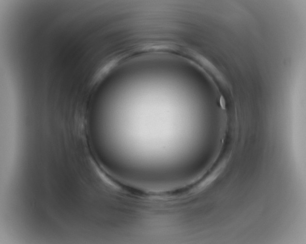 X0000114110985200910131339