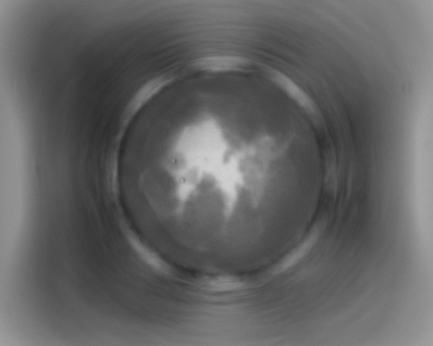 X0000114110986200910131339