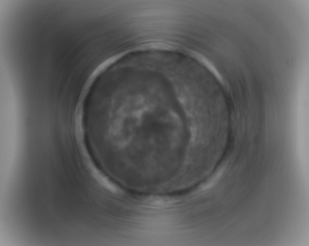 X0000114110987200910131339