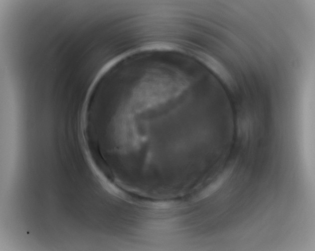 X0000114110988200910131339