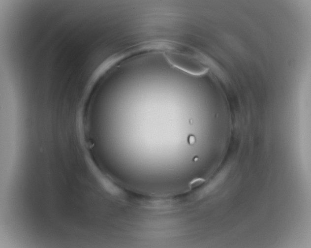X0000114110989200910131339