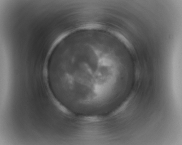 X0000114110990200910131339