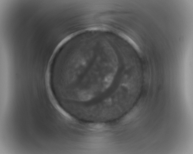 X0000114110991200910131339