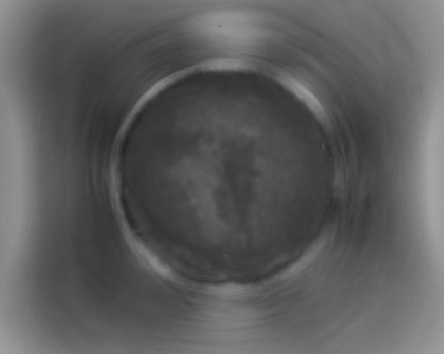 X0000114110992200910131339