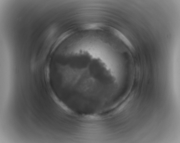 X0000114110994200910131339