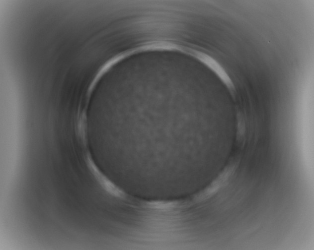 X0000114110996200910131339
