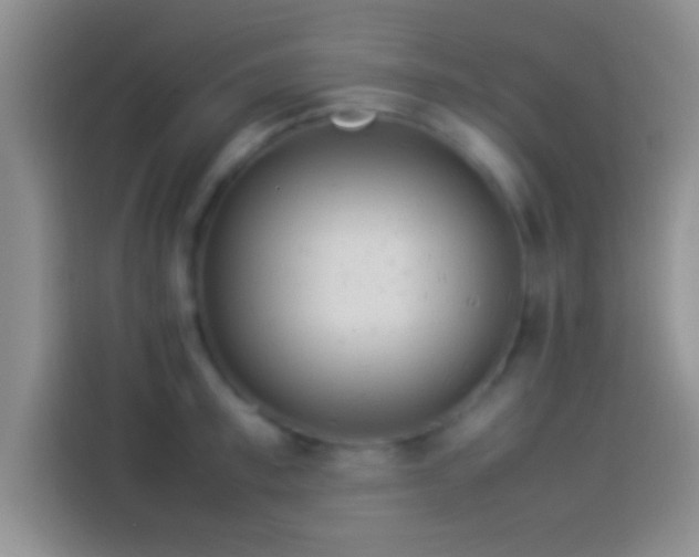 X0000114110997200910131339