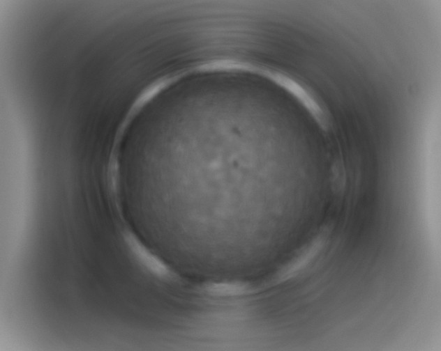X0000114110998200910131339