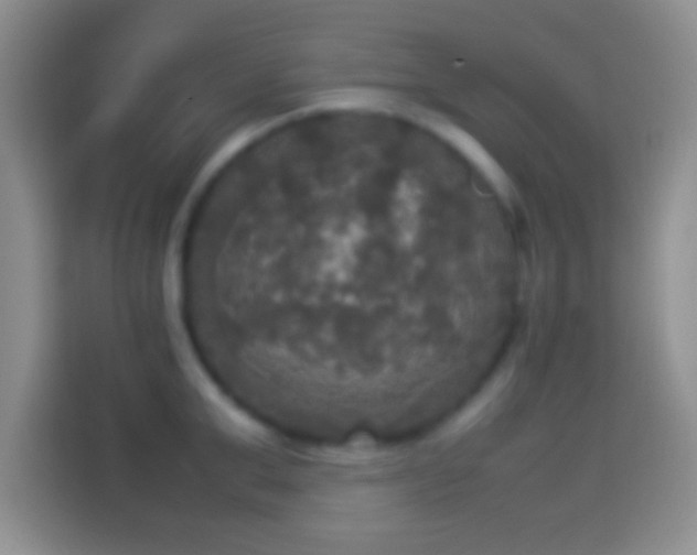 X0000114110999200910131339