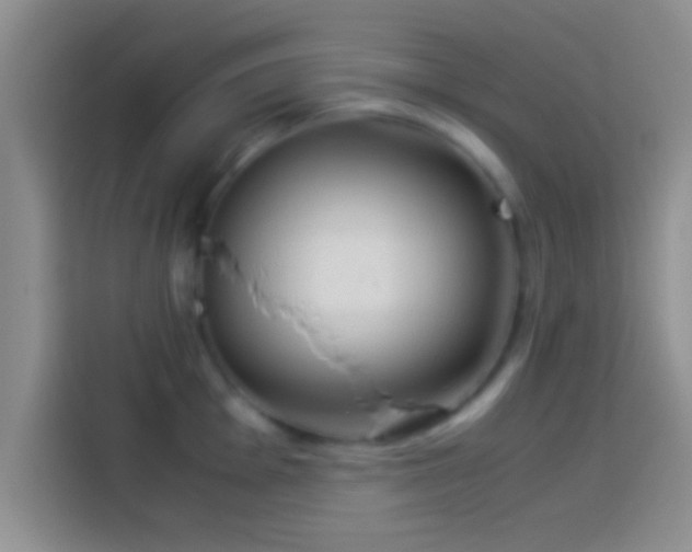 X0000114111001200910131339