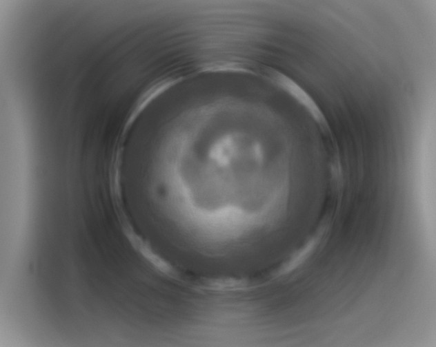 X0000114111002200910131339