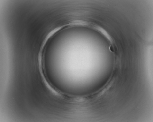 X0000114111003200910131339