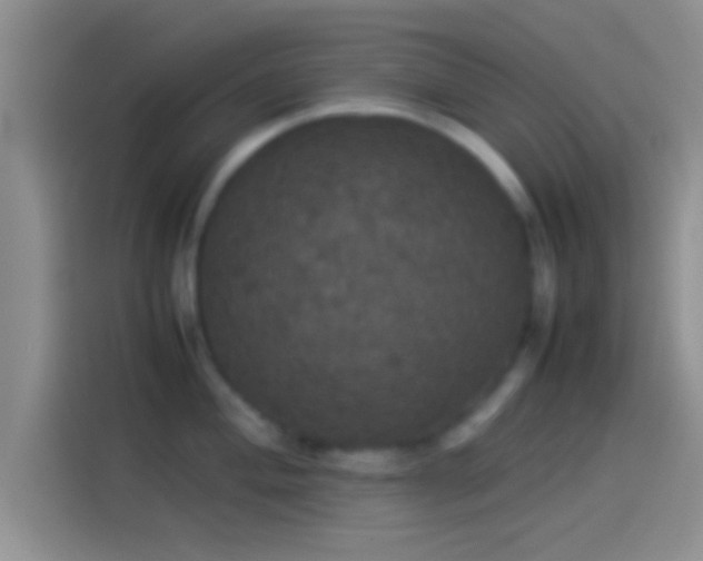 X0000114111004200910131339