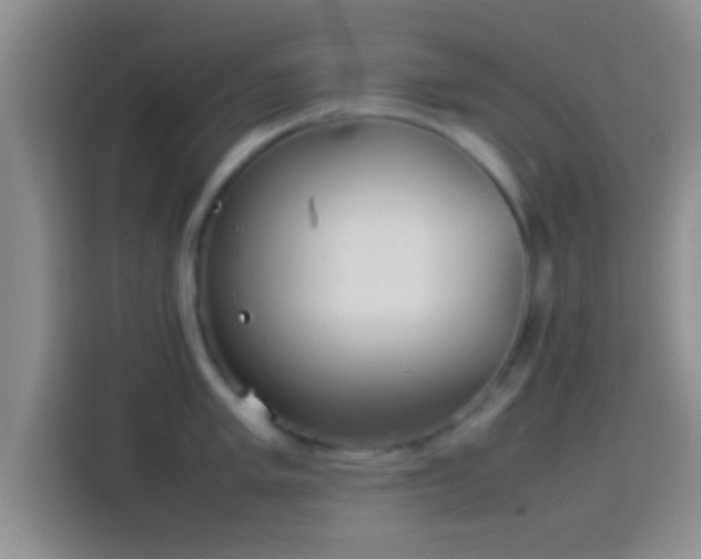 X0000114111005200910131339