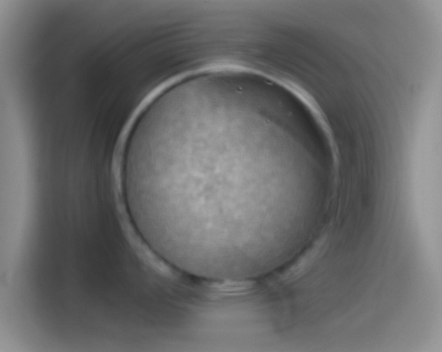 X0000114111008200910131339