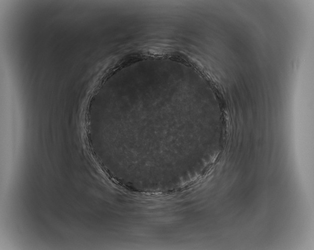X0000114111009200910131338