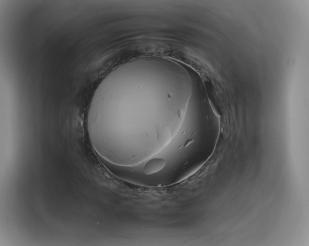 X0000114111013200910131338
