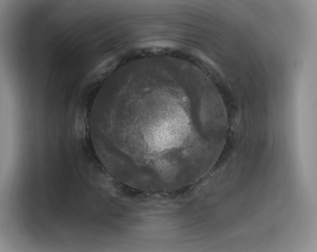 X0000114111014200910131338