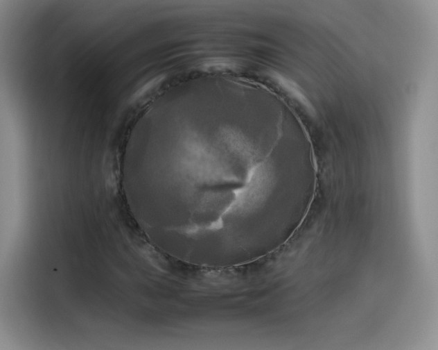 X0000114111015200910131338