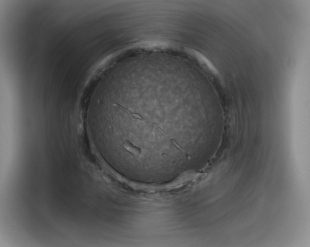 X0000114111016200910131338