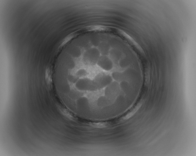 X0000114111017200910131338