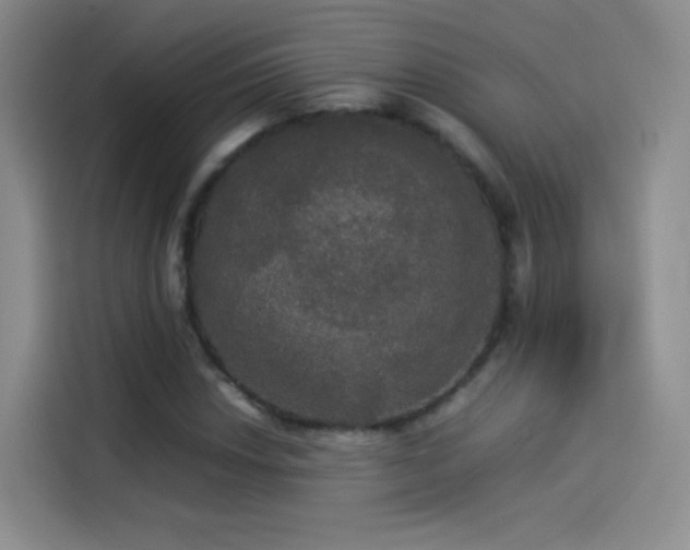 X0000114111018200910131338