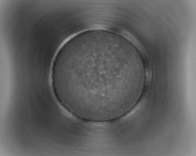 X0000114111020200910131338