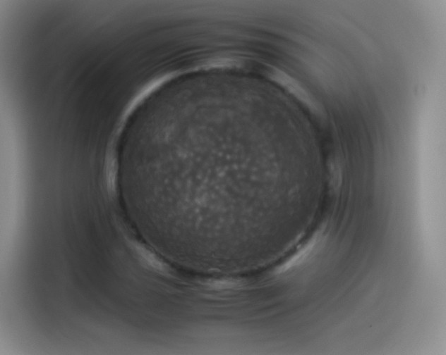 X0000114111021200910131338