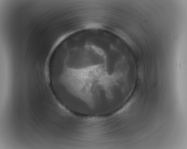 X0000114111022200910131338