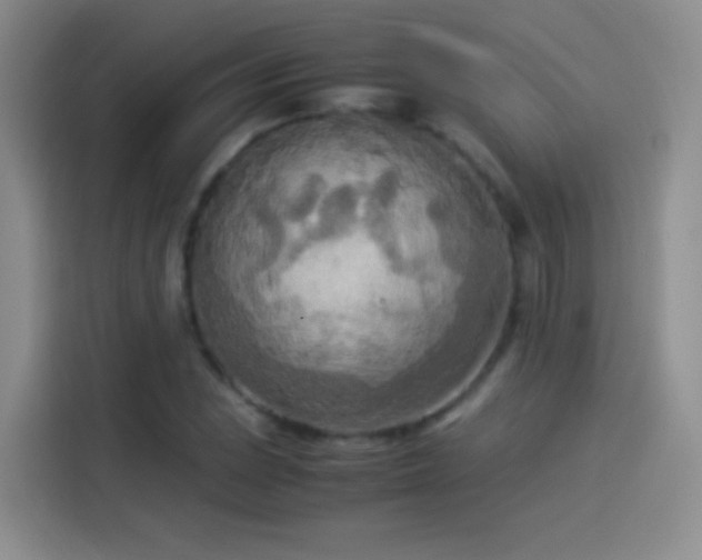 X0000114111023200910131338