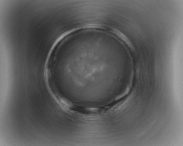 X0000114111024200910131338