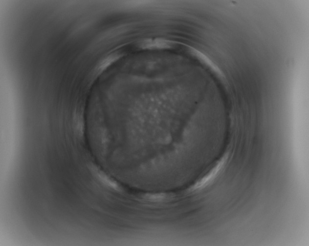 X0000114111025200910131338