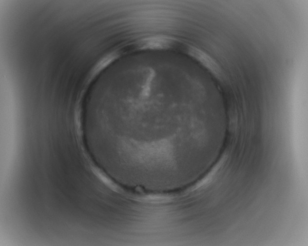 X0000114111026200910131338