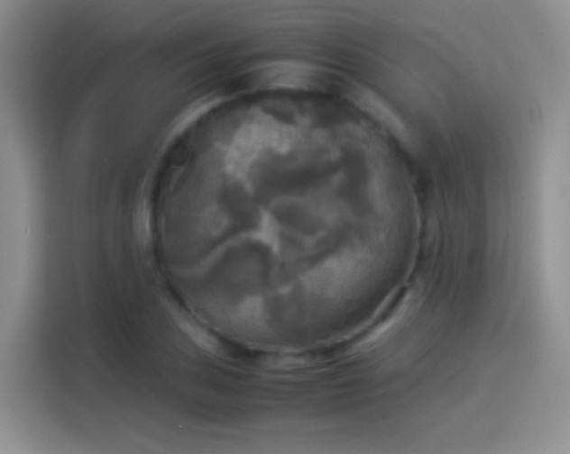 X0000114111027200910131338