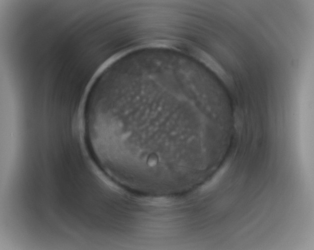 X0000114111028200910131338
