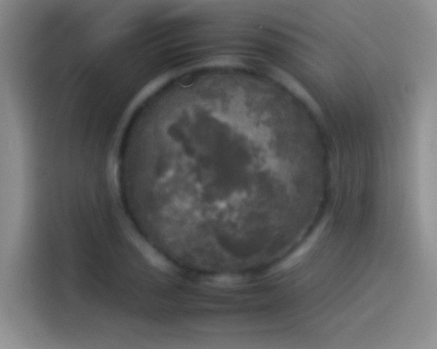 X0000114111029200910131338
