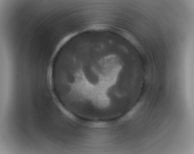 X0000114111030200910131338