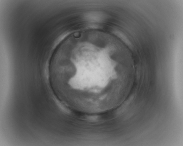 X0000114111031200910131338